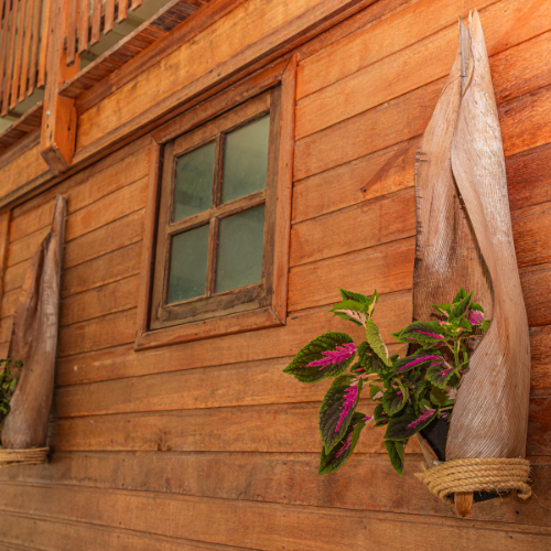 foto - 2026-03-02T161458.589