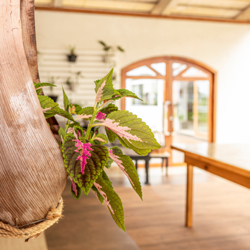 foto - 2026-03-02T163343.647